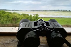 Binocoli della Riserva naturale Valle Cavanata