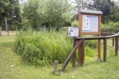 Stagno del Centro visite della Riserva naturale Valle Cavanata