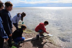 La didattica nella Riserva naturale Valle Cavanata