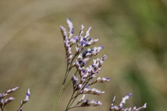 IMG_0114