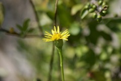 IMG_0149