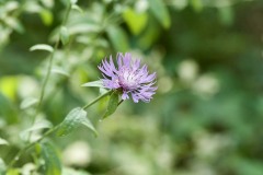IMG_0188