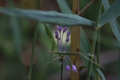 IMG_9775