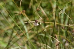 IMG_9844
