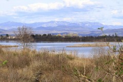 17349583_10154188854207391_8114606910998920783_o