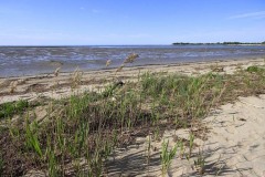 18121645_10154293153852391_1946072484403420995_o