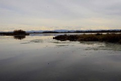 23916314_10154825189202391_3549394395091651145_o