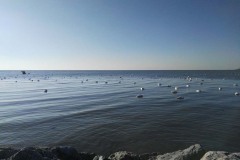 24173512_10154840647187391_5957564489248149174_o