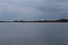 46079477_10155560211602391_4719289745354522624_o