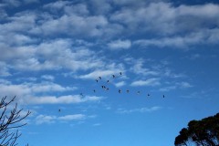 51019924_10155712358777391_820366975766102016_o