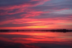 51329565_2351583178219954_4193105094239059968_o