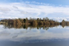 74216677_10156318511962391_6130107234174107648_o